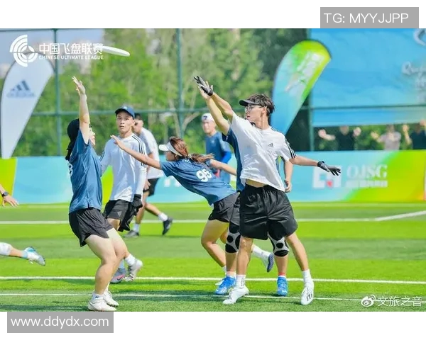 西安飞盘队强势领跑最新耐力排行榜前十名全解析